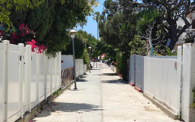 Venice Beach Apartment - Rooftop Deck - Newly Renovated