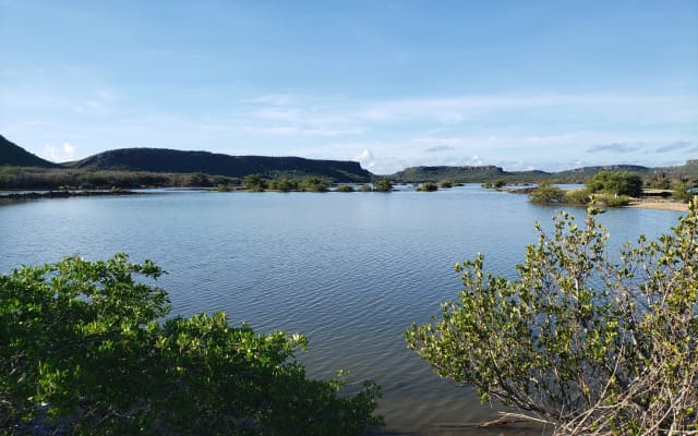 Pura Vida Jankok - Picture 12