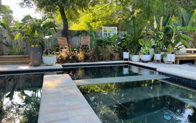 Escapadela Tropical com Piscina Privada + Vibes for Days - Foto 12