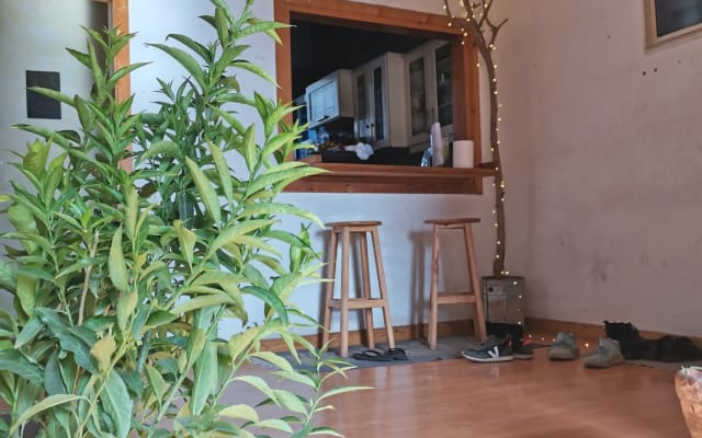 O espaço mais chill da baixa?