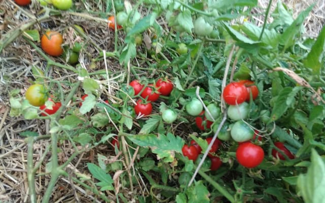 Do Nothing Land - Picture 12