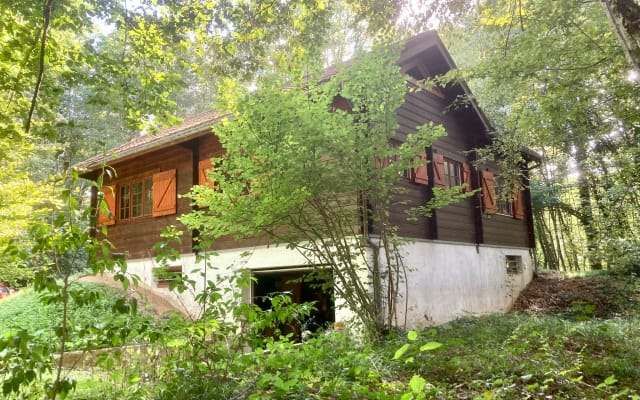 Holy Wood - Großes, gemütliches Haus in Holzrahmenbauweise in einem...