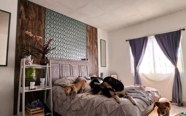 Chambre Queen chic avec salle de bain privée dans une maison...