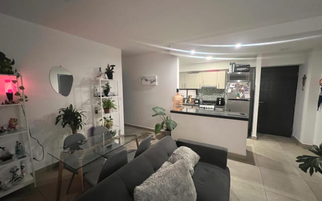 Schöne Wohnung mit Blick auf die Plaza Garibaldi, sehr zentral.