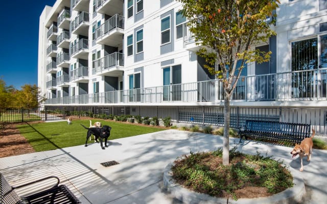 (S1BL) Bright and Modern 1-BR w/ Free Parking - Picture 20