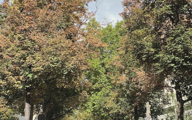 Bel appartement à proximité du Kurfürstendamm