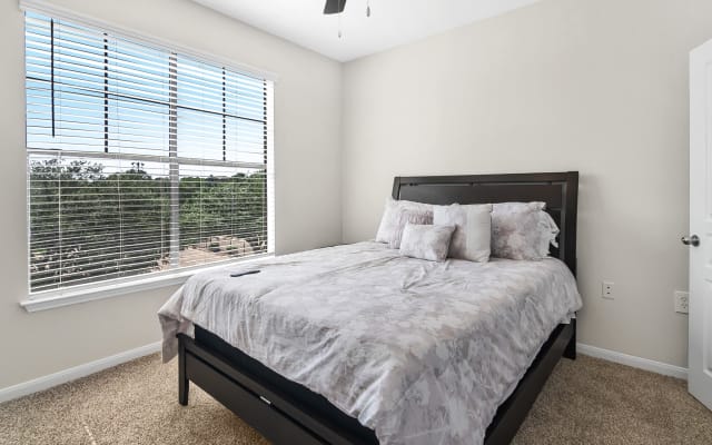 Beautiful apartment within 1 mile of NRG Stadium