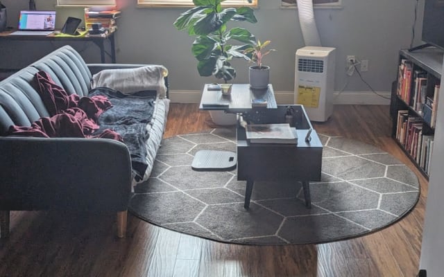 Cozy, charming Pittsburgh condo private bedroom in S Oakland.