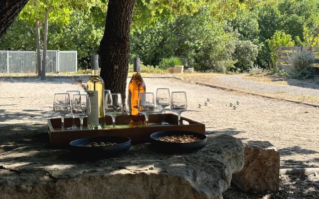 Frédéric's listing on misterb&b - Les deux terrains de pétanque.