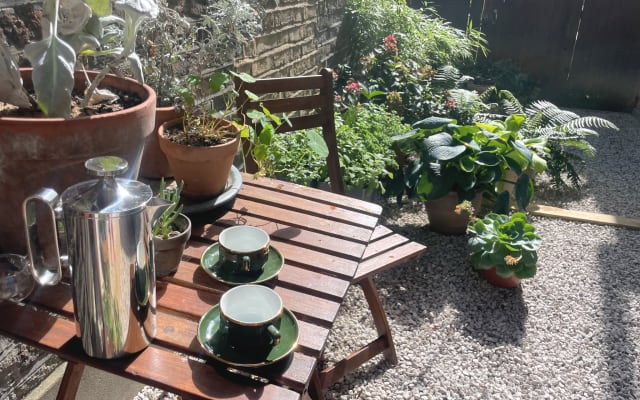 Gorgeous garden flat in leafy south london near transport