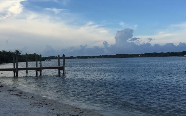 Sirena de Palm Beach