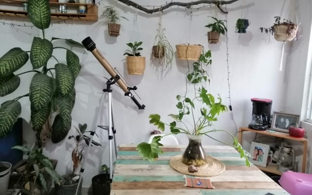 schönes Haus 10 Minuten vom Stadtzentrum Querétaro