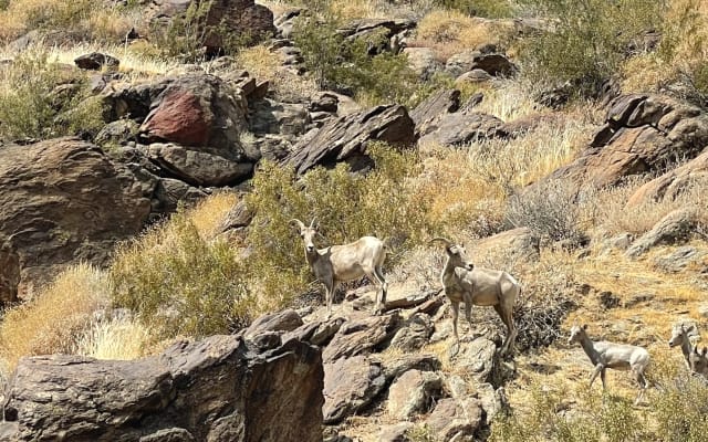 Dieter and Craig's listing on misterb&b - Occasional visitors