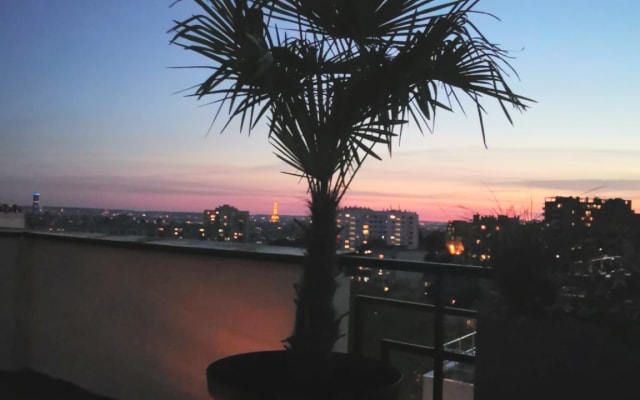 Exceptional Paris 20th apartment, 45m2 terrace overlooking the Eiffel...