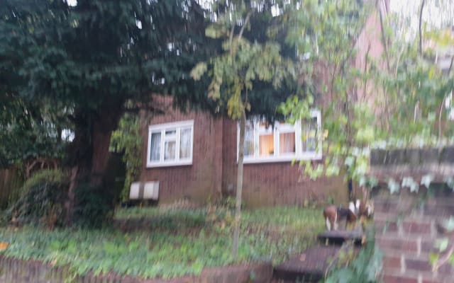 lovely and peaceful space surrounded by green areas and forests