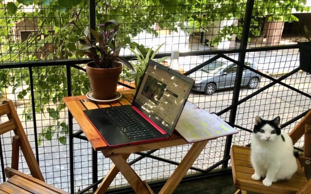 Appartement rénové de 2 chambres dans le quartier raffiné de Belgrano