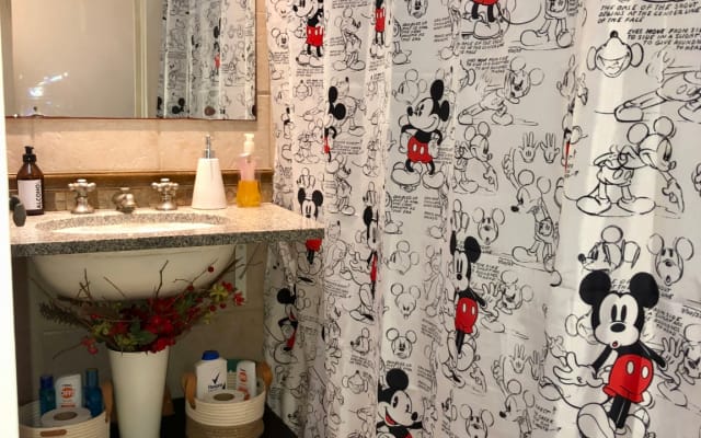 Carlos's listing on misterb&b - Indiscreet Mickey . . . LoL