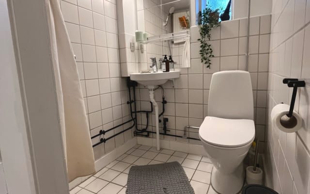 Cozy Independent Basement Flat - Picture 10