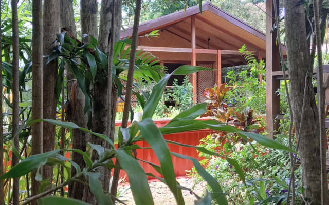 Ecolodge avec piscine dans un jardin tropical - Photo 13
