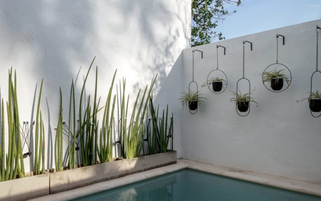 Suite mit privatem Pool - Paseo de Montejo