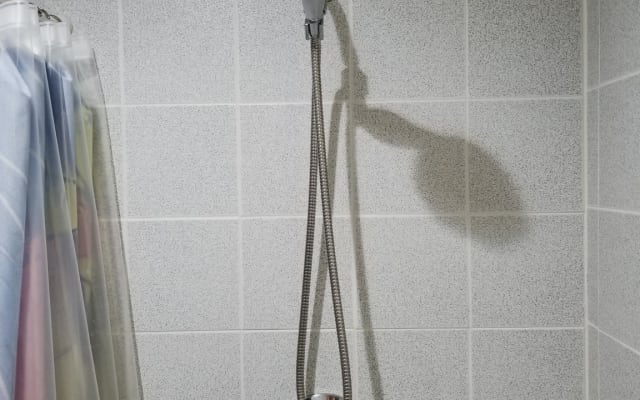 Bill's listing on misterb&b - Immaculate Shower