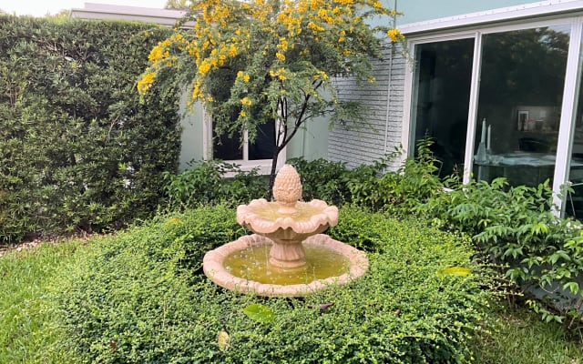 Claude's listing on misterb&b - Front yard 