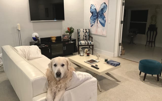 "Charming home, ideal for seasonal guests, with inviting bedrooms." - Picture 21