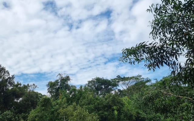 Tranquillo e vicino alla natura