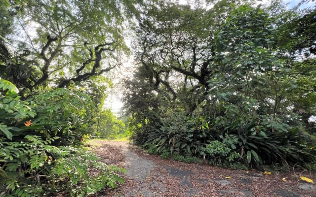 Tranquilo e próximo da natureza