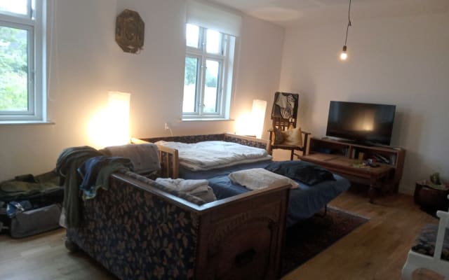 Jochens Inserat auf misterb&b - Living room with sofabed