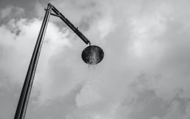 Clothing Optional - Cozy studio with large garden & private!