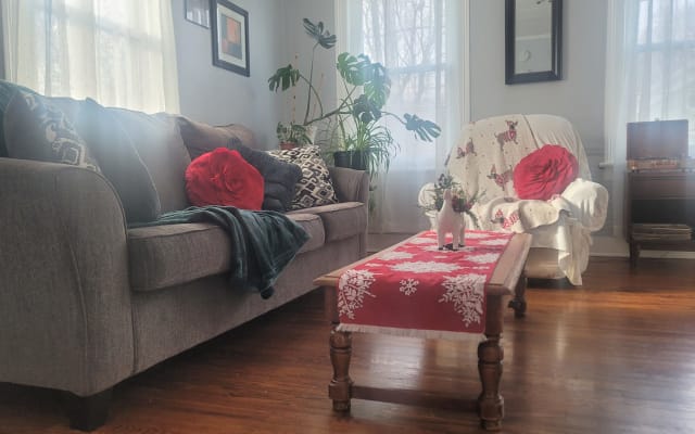 Schöne Wohnung in ruhigen Cohoes, kurze Fahrt zu RPI & Albany! - Foto 10