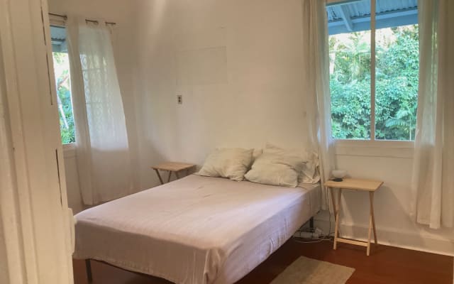 Apartamento Jungle Green