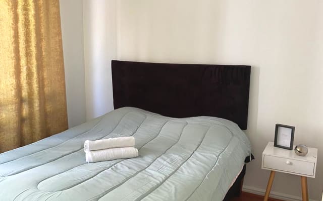 Accogliente appartamento Providencia