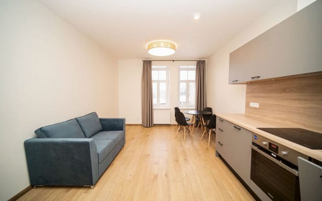 Comfortable Apartment