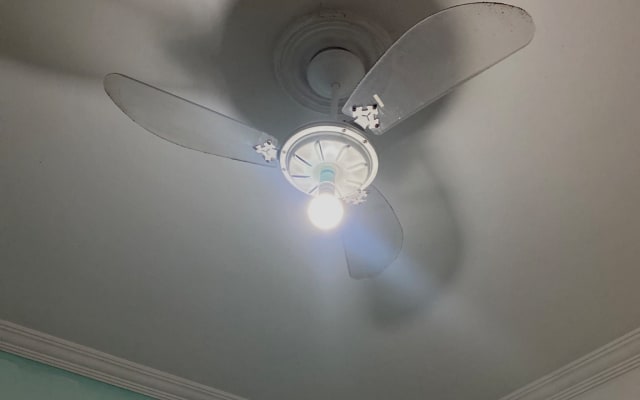 1/4 in un confortevole appartamento nel centro della città.