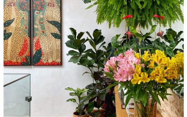 Shared rural house in the historic center of Arcos