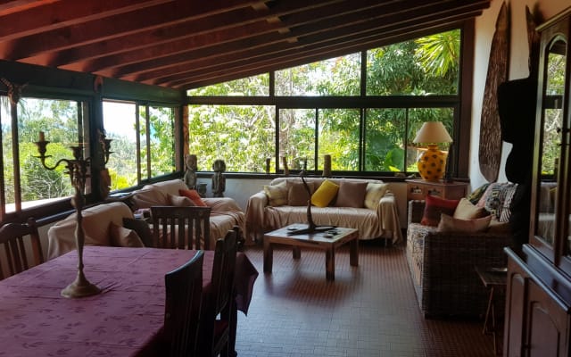 10 klm from the center of Nouméa, in the countryside for dog lovers - Picture 10