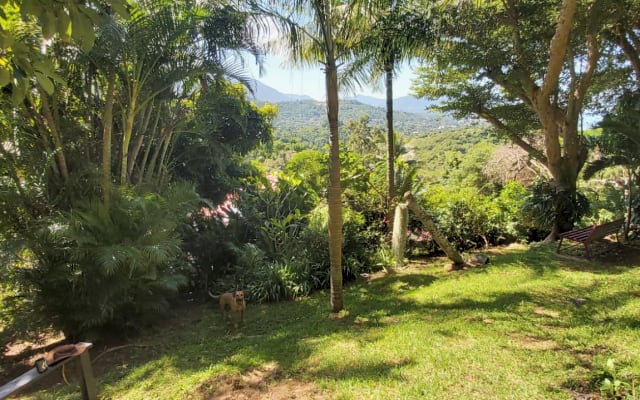 10 klm from the center of Nouméa, in the countryside for dog lovers - Picture 15