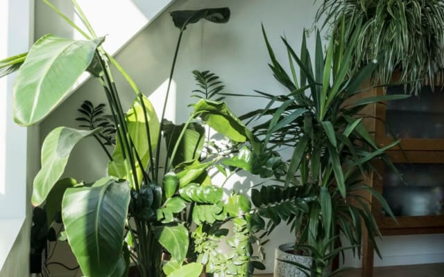 Chambre lumineuse dans un appartement spacieux à Gand