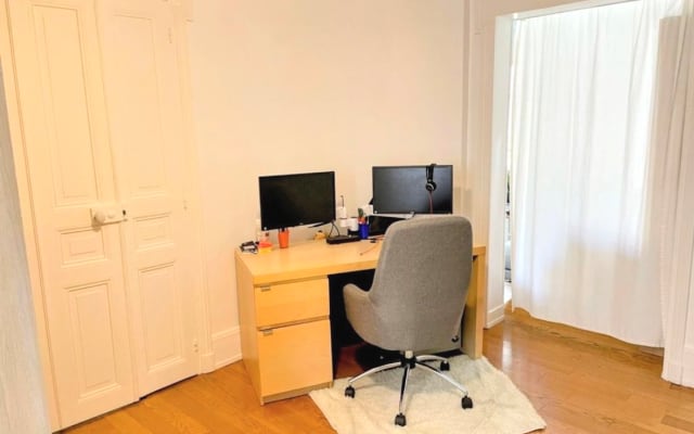 Typical spacious ultra-center Parisian apartment