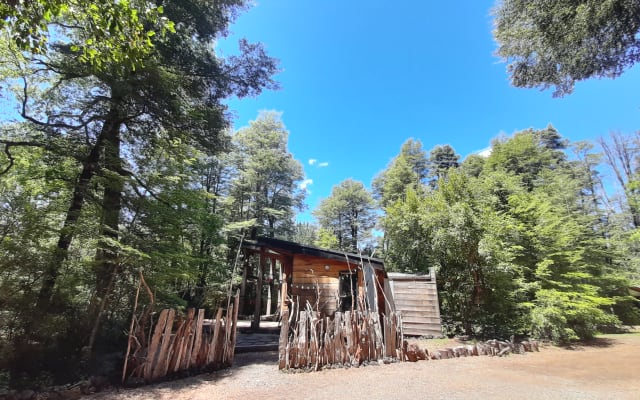 Refúgio na floresta, a poucos passos do Parque Conguillío