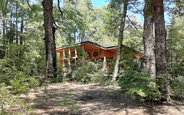 Refúgio na floresta, a poucos passos do Parque Conguillío