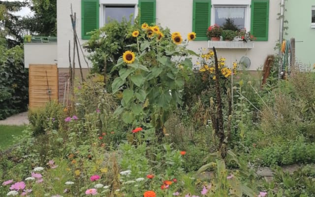 Un espace d'habitation et de vie temporaire dans la verdure.