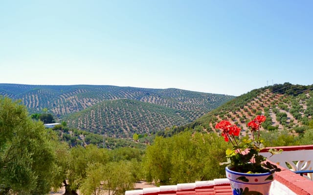 La Casita, fresca e tranquilla