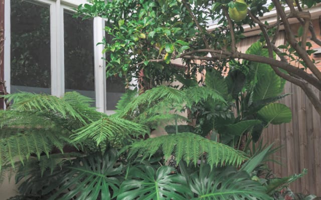 Kia's listing on misterb&b - Just behind your window
