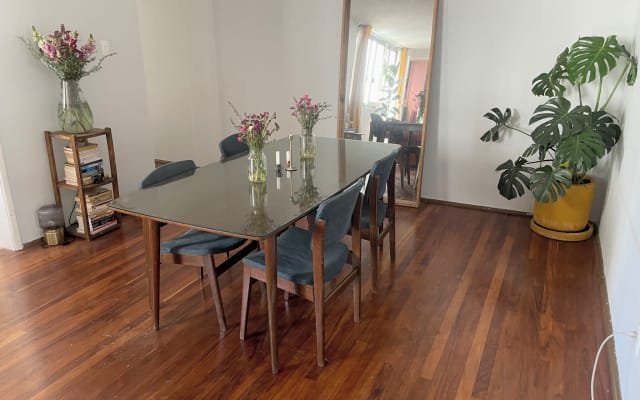 Cozy sanctuary in the center of Condesa