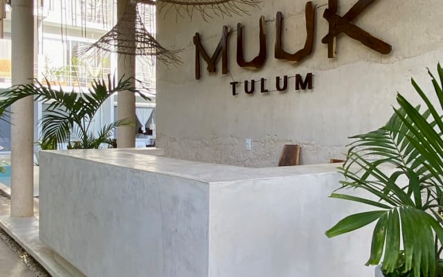 Hermoso Estudio en Tulum Zona 15