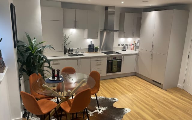 Apartamento na linha central da cidade, com um amigo incluído.