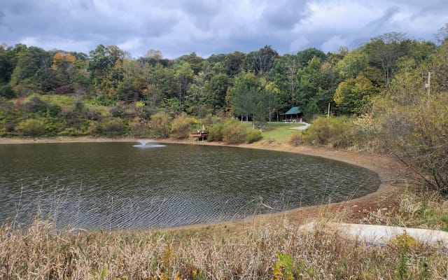 Anuncio de Brent en misterb&b - 1.5 Acre Stocked Pond, Catfish, Bass, Bluegills